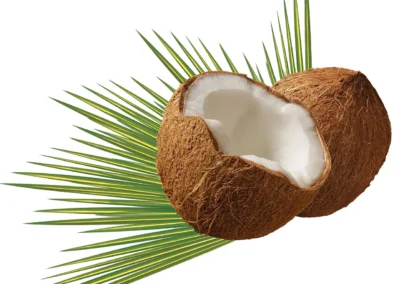 A whole coconut surrounded by green leaves, set against a clean .white background, highlighting its tropical essence. rosemary hair oil for hair growth